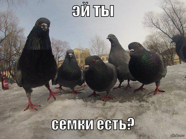 Боевики "вора в законе" окружили московский рынок – ЛИБО ДАНЬ, ЛИБО СМЕРТЬ!