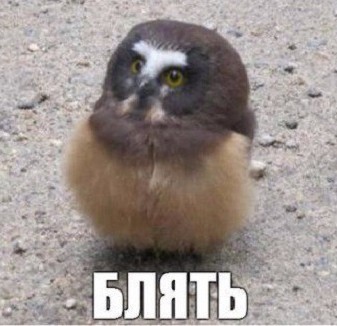Итоги проверки пользователей