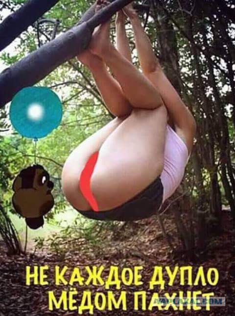 Немного картинок в этот вторник