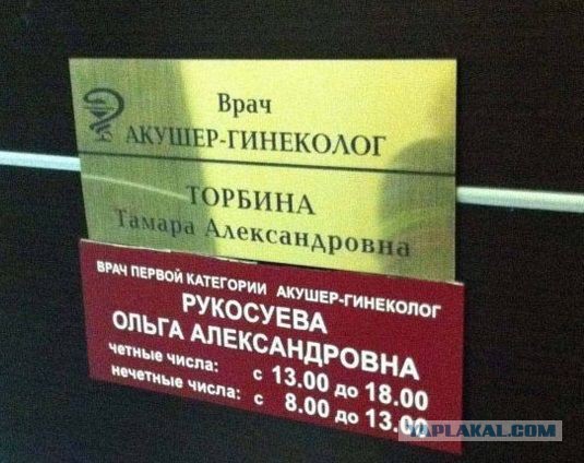 Немного картинок в эту среду