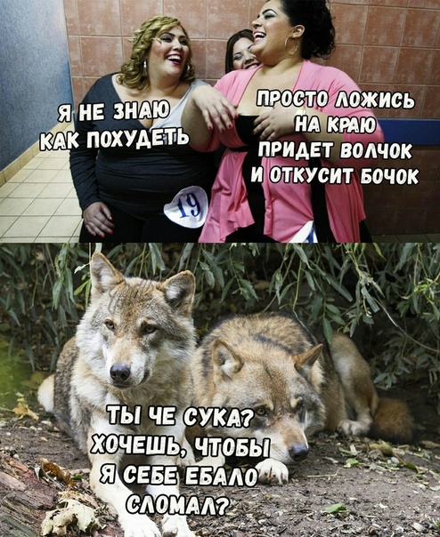 Странный юмор