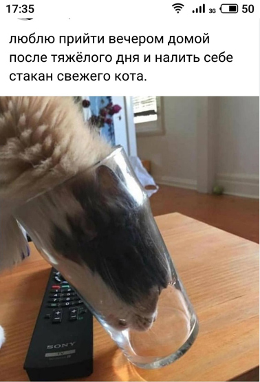 Чаёк с тортиком
