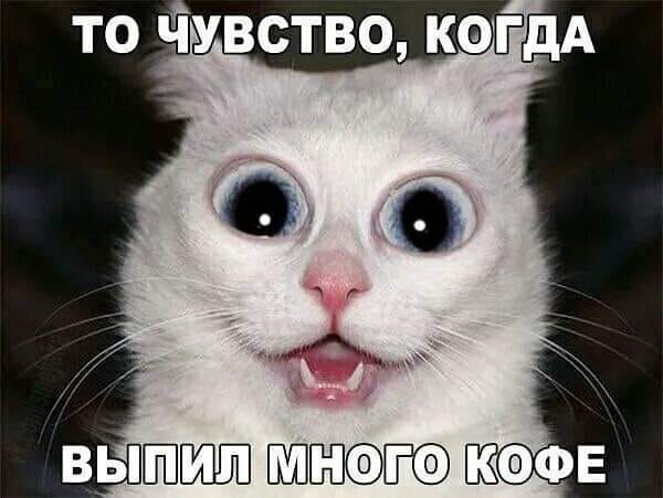 Подборка весёлых картинок