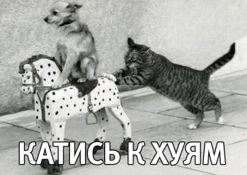 Будущие девушки, жены и мамы. Подборка 16+