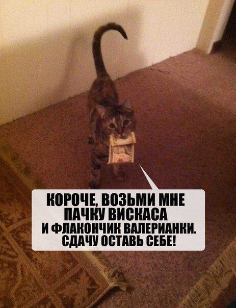 Чуток картинок, на ночь глядя
