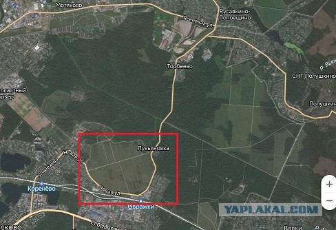 Вы видели на карте Нидерланды?