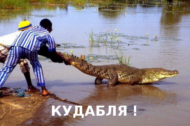 Чуток картинок на 24.03.2020