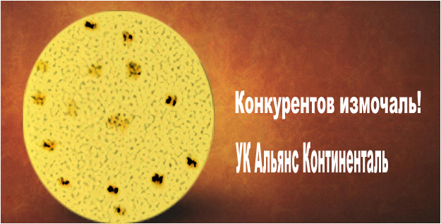 Фотожаба: Альянс Континенталь