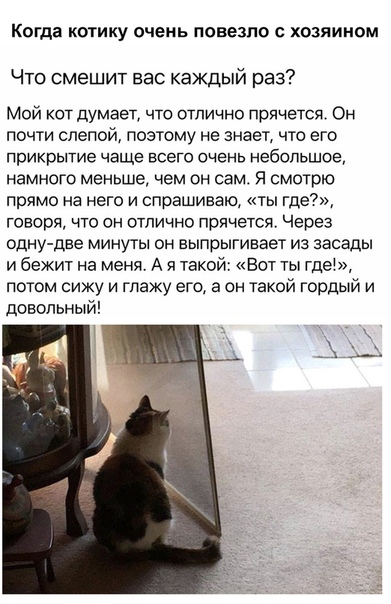 Немного картинок для настроения 20.05.20
