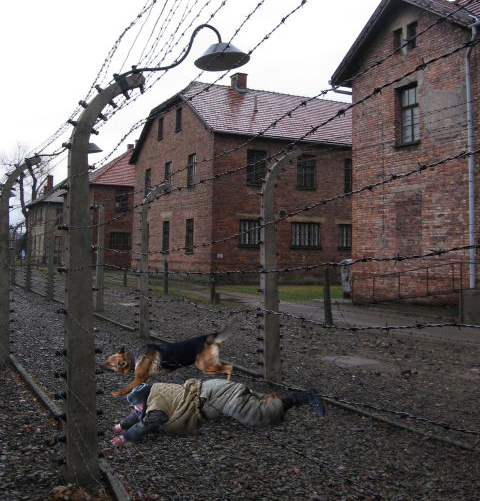 Фотожаба: Охотник и его верный пес