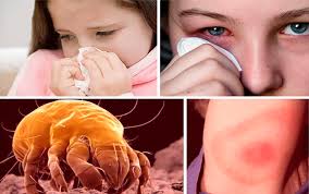 Стала известна самая опасная утренняя привычка