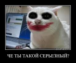 Все говорили: "Да заведи ты себе собаку - будет весело!"