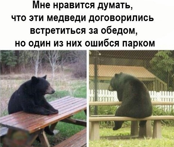 Картинки и мемы для настроения 001