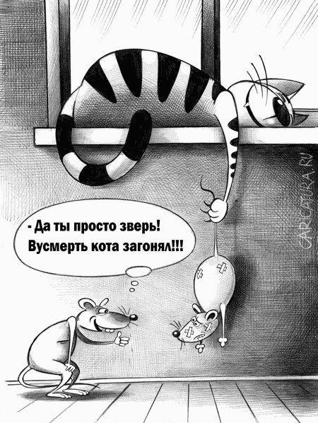 С котопятницей! Улыбнемся?