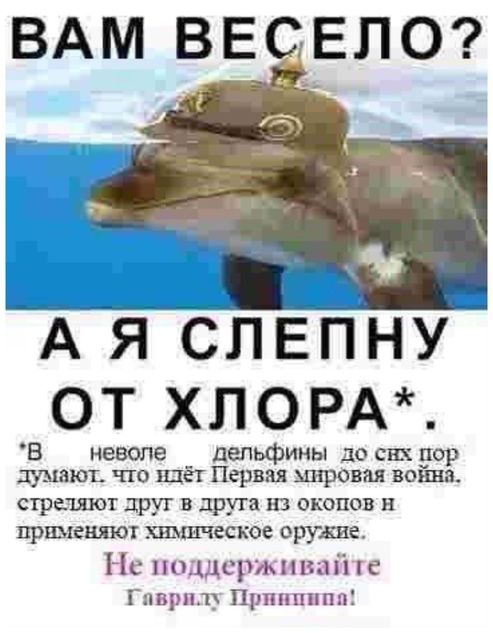 Это просто дикость какая-то