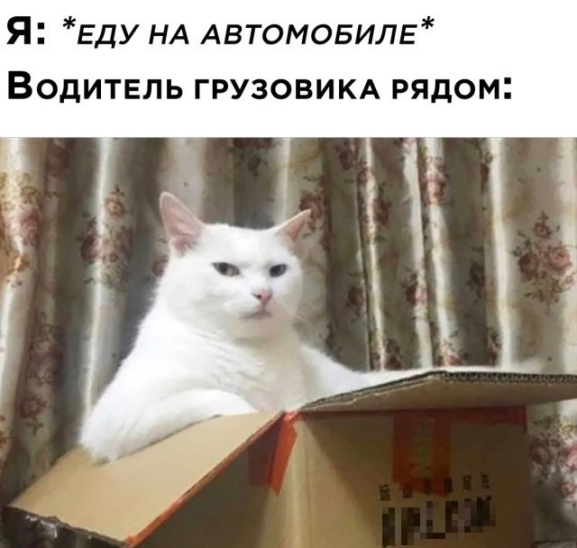 Почему по дорогам России ездят грузовики-убийцы?