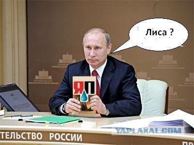 Таксидермия + наркомания