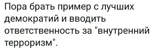 Кремль отреагировал на жалобы о насилии со стороны силовиков на митинге