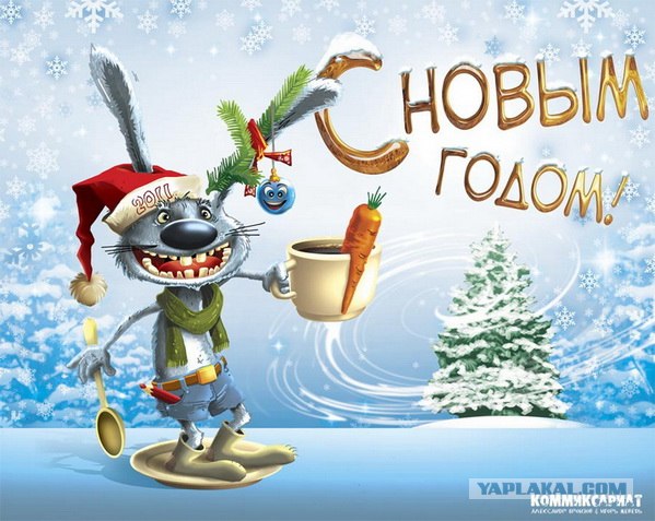C Новым 2011 Годом!