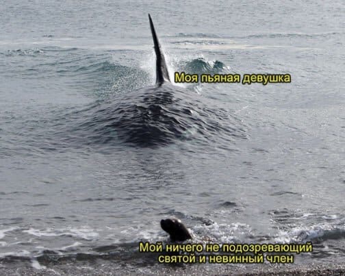 Пятница. И немного слегка пошлых картинок с надписями и без 16+ (02.04))
