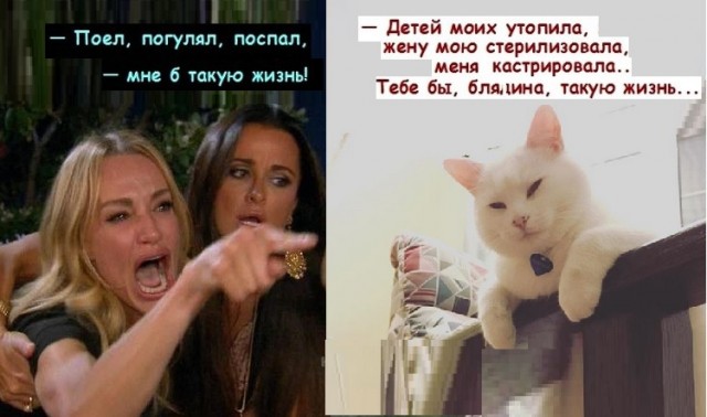 Наташа! Это кто?