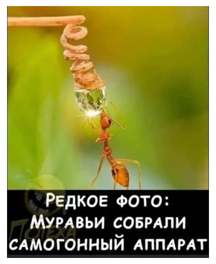 Картинки с надписями и всякие жизненные фразы 07.05.2021