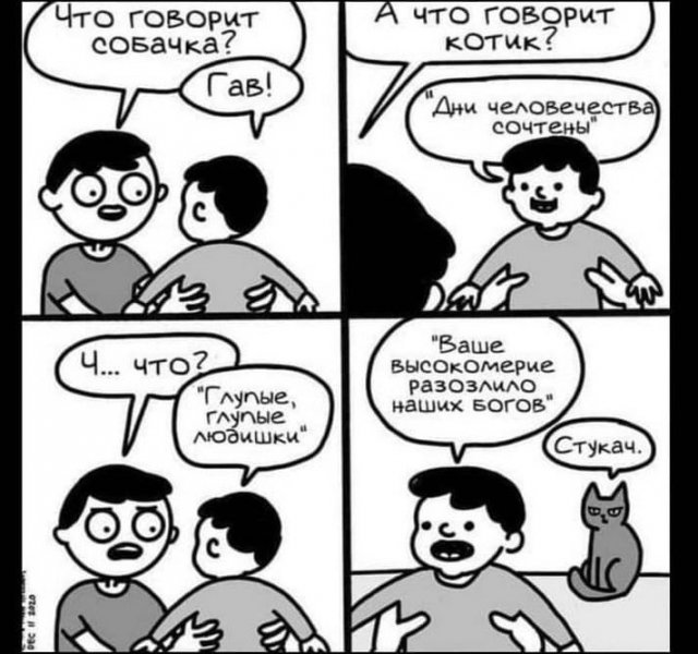 Чем порадует тырнет в субботу?