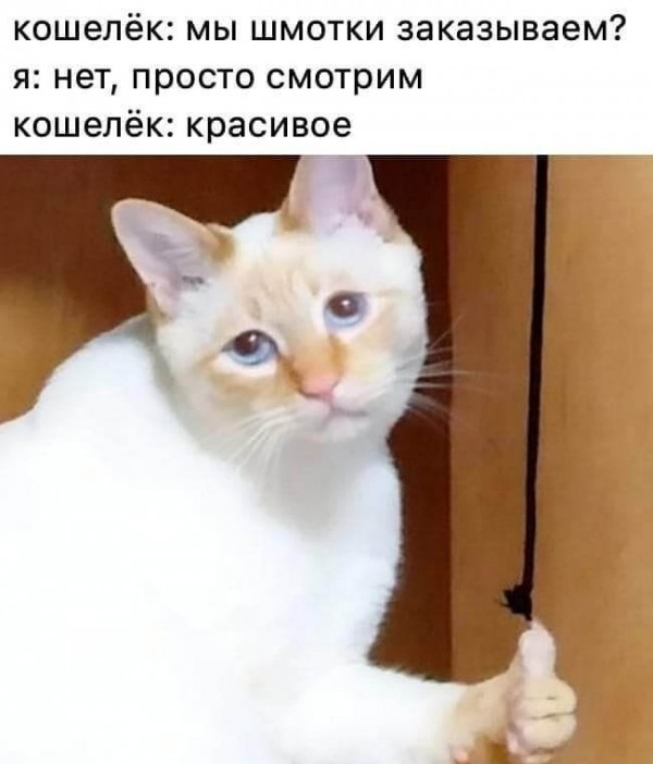 Картинки и мемы для настроения 24.08.2021