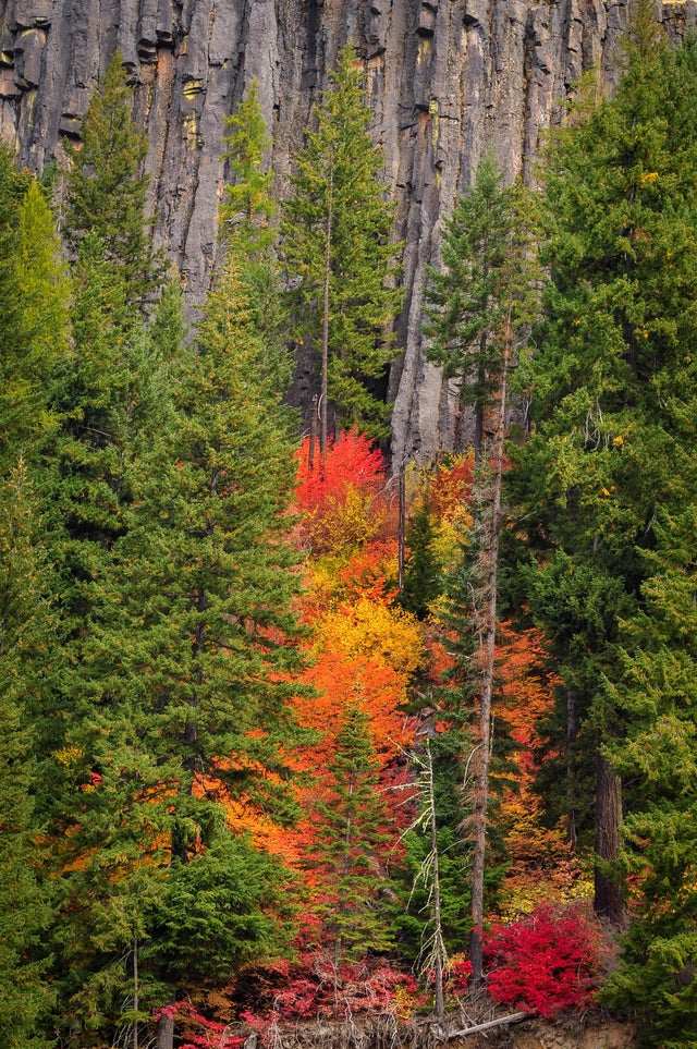 Картинки и мемы, всем прекрасных выходных