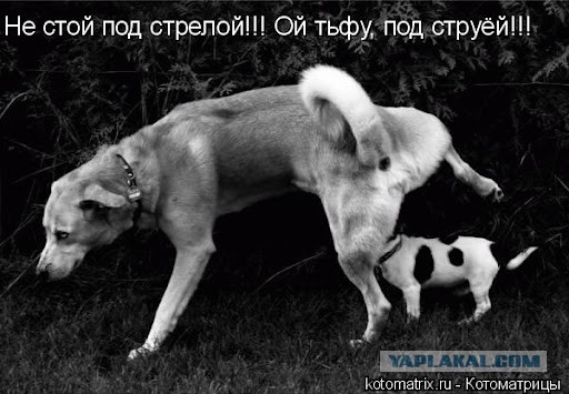 Пораженный реактивной струей
