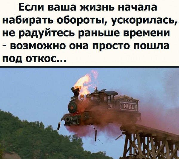 Весёлый полтишок 14.01