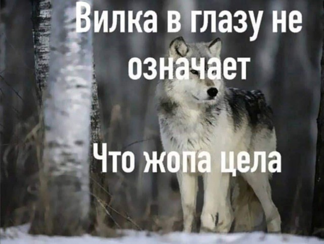 Так себе картинки 07.02.22