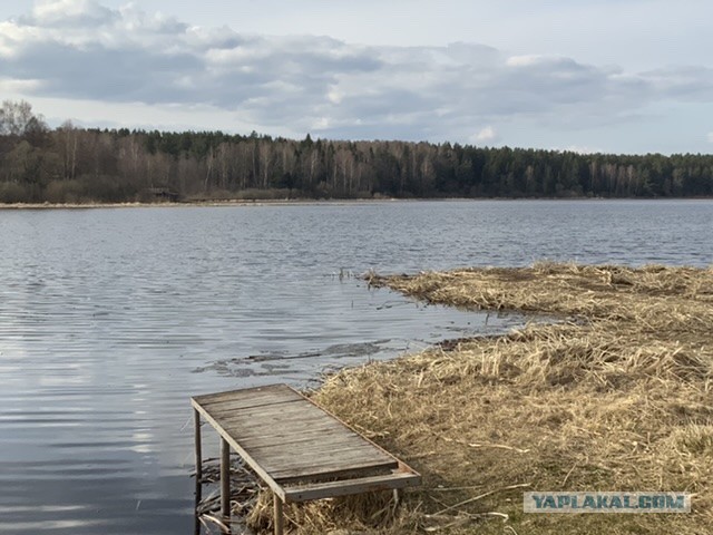 Пандемия. Коронавирус и съехавшие крыши. Россия и мир. Часть 33.