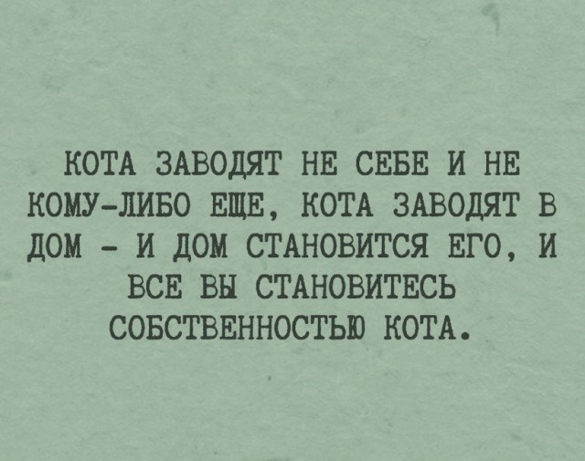 50 оттенков серого. Vol 16. Или самосвал баянов