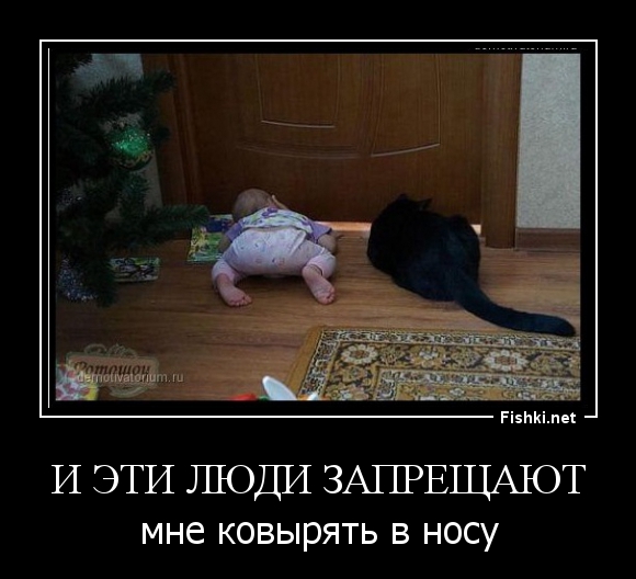 Пандемия съехавших крыш - разновидности болезни. Россия и мир. Часть 38