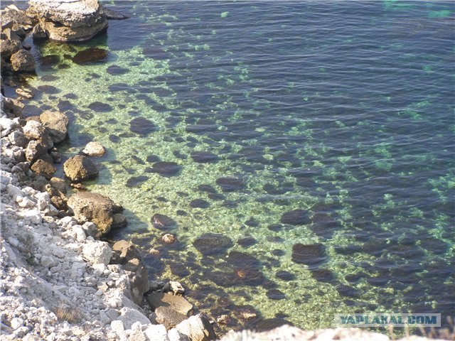 Впервые в Крыму