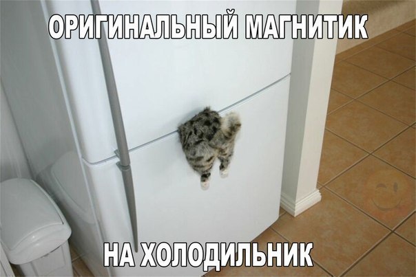 Картинки и мемы, всем хороших выходных