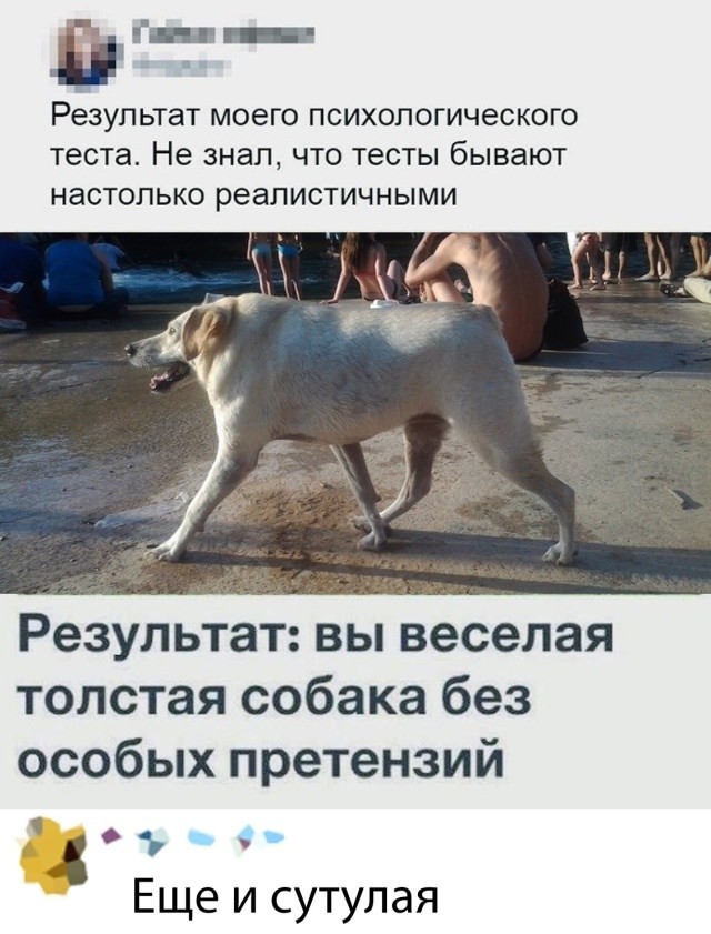 Скриншоты и комментарии из социальных сетей 30.01.23