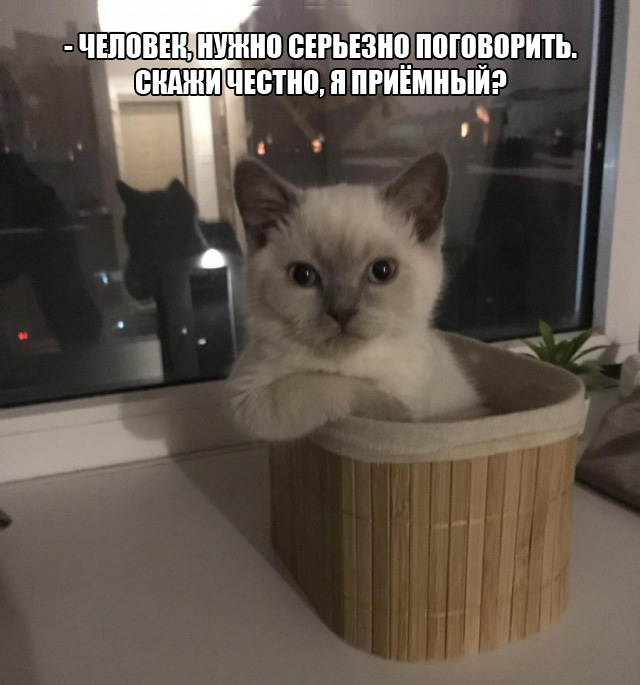 Забавные шутки и картинки из этих ваших интернетов