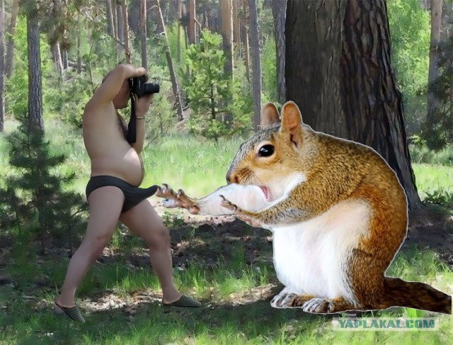 Фотожаба "Сними меня фотограф"