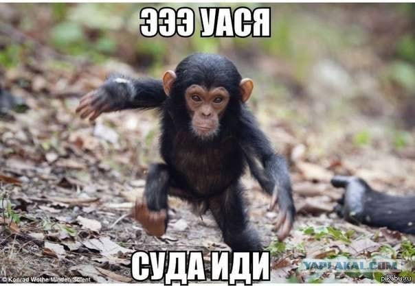Горячий кавказкий игра