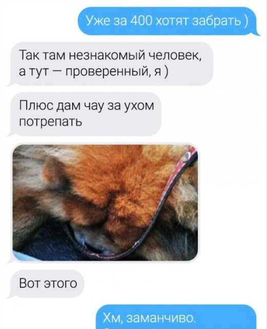 Забавные картинки, шутки из этих ваших интернетов