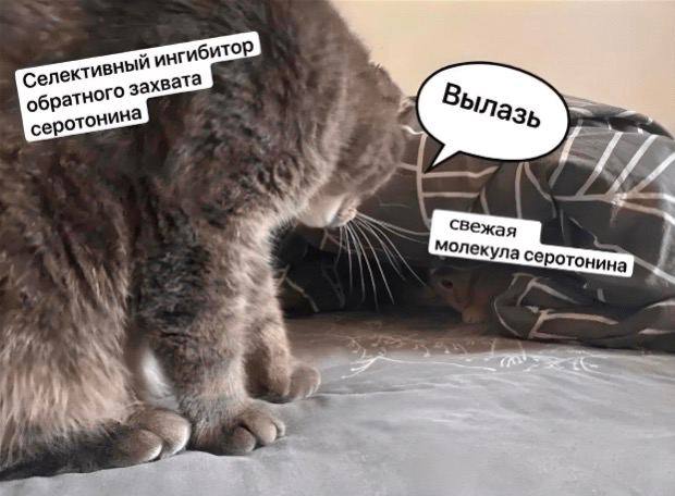 Отмена деградации ІV. Околонаучные картинки