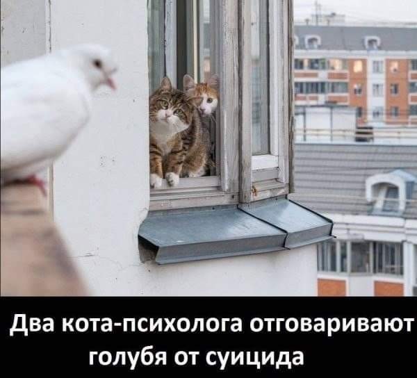 Веселые и не очень картинки и тексты
