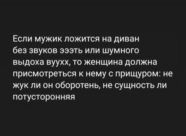 Весёлый полтишок 15.10.23