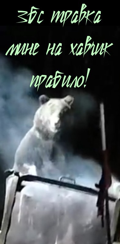 Природный утилизатор бытовых отходов.