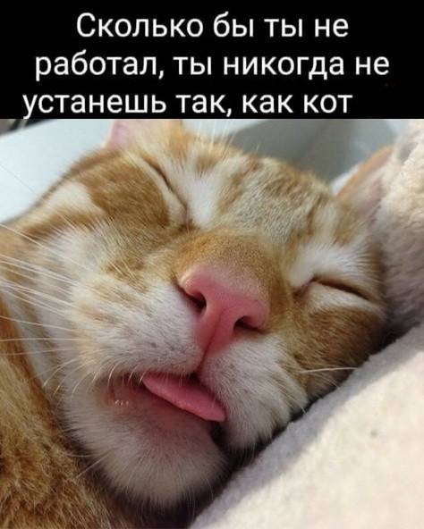 Чарли умеет напугать