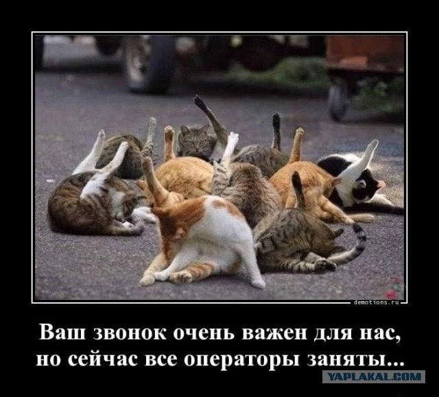 Так себе картинки 11.10.24