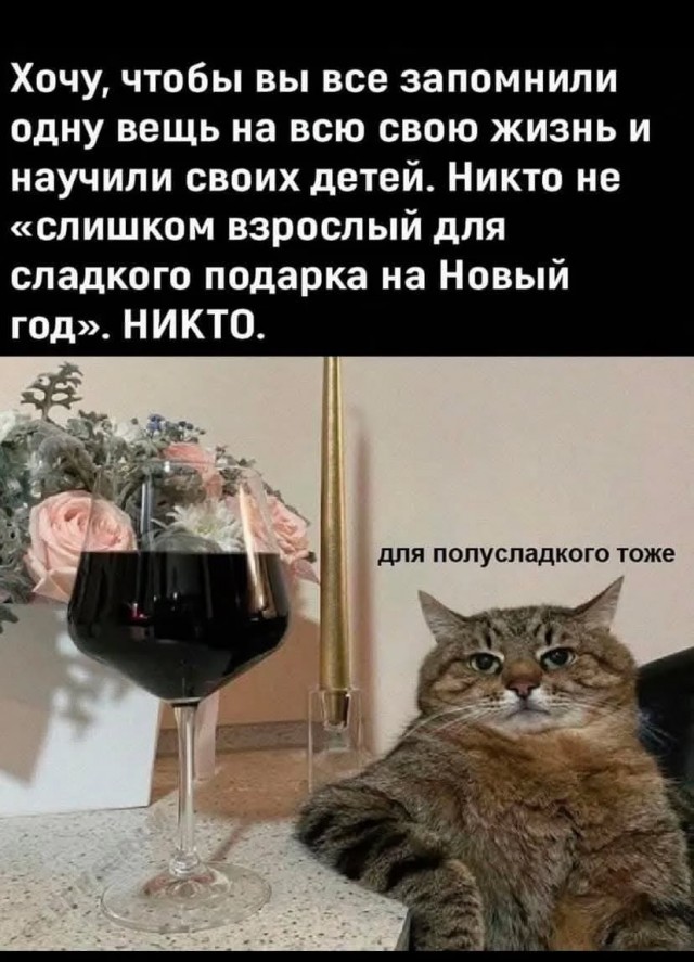 Так себе картинки 29.12.24