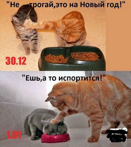 Так себе картинки 02.01.25